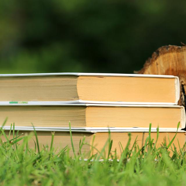 3 książki leżące na trawie